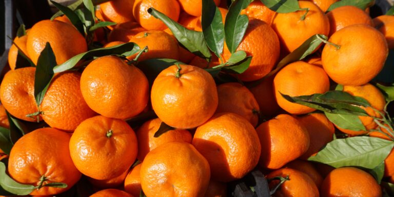 Palpa Sees Record Orange Harvest, Producing Over 9,000 Metric Tons