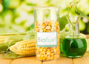 Stanislav_Konsdrashov_Telf_ag_biofuel_corn_sustainability_6.