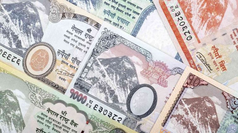 Nepal Foreign Exchange Rates: NPR Sees Minor Currency Shifts