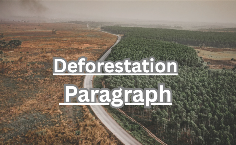 Deforestation Paragraph